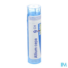 Afbeelding in Gallery-weergave laden, Allium Cepa 9ch Gr 4g Boiron
