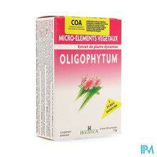 Afbeelding in Gallery-weergave laden, Oligophytum Cu-au-ag Tbe Microcomp 3x100 Holistica
