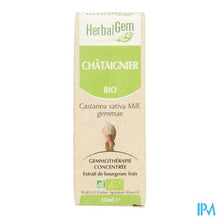 Charger l'image dans la galerie, Herbalgem Kastanje Maceraat 15ml
