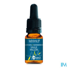 Afbeelding in Gallery-weergave laden, Ladrome Wilg/willow 10ml
