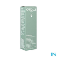 Afbeelding in Gallery-weergave laden, Caudalie Vinopure Salicylzuur Spot Treatment 15ml
