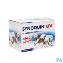 Afbeelding in Gallery-weergave laden, Synoquin Large Breed >25kg Caps 120
