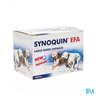 Synoquin Large Breed >25kg Caps 120