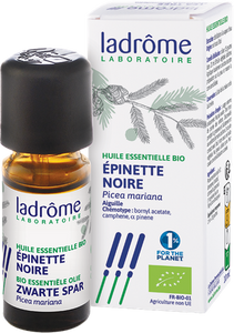 Ladrome Picea Mariana/zwarte Spar 10ml