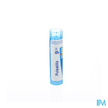 Charger l'image dans la galerie, Pulsatilla 9ch Gr 4g Boiron
