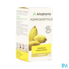 Charger l'image dans la galerie, Arkocaps Pompoenpitolie Caps 60
