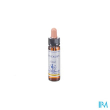 Charger l'image dans la galerie, Healing Herbs Centaury 10ml
