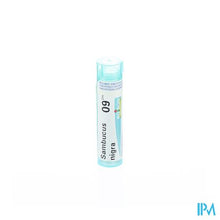 Afbeelding in Gallery-weergave laden, Sambucus Nigra 9ch Gr 4g Boiron

