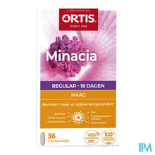 Afbeelding in Gallery-weergave laden, Ortis Minacia Regular Comp 36
