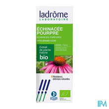Afbeelding in Gallery-weergave laden, Ladrome Echinacea Purpurea/rode Zonnehoed 50ml
