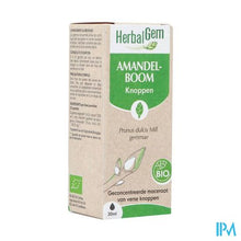 Afbeelding in Gallery-weergave laden, Herbalgem Amandel Bio 30ml
