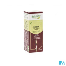 Charger l'image dans la galerie, Herbalgem Lijsterbes Maceraat 50ml

