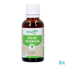 Load image into Gallery viewer, Herbalgem Vijgenboom Bio 30ml
