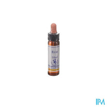 Afbeelding in Gallery-weergave laden, Healing Herbs Elm 10ml
