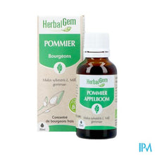 Afbeelding in Gallery-weergave laden, Herbalgem Appelboom Bio 30ml
