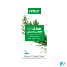 Afbeelding in Gallery-weergave laden, Purasana Heermoes 250mg Bio V-caps 120
