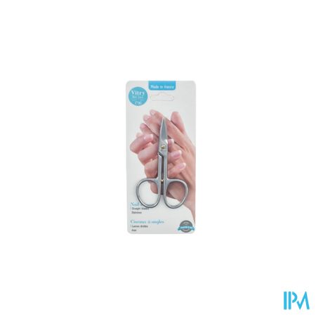 Nagelschaar Recht Inox Blinkend