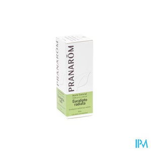 Eucalyptus Radiata Ess Olie 10ml Pranarom