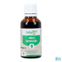 Afbeelding in Gallery-weergave laden, Herbalgem Heermoes Bio 30ml
