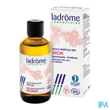 Charger l'image dans la galerie, Ladrome Ricinusolie 100ml
