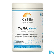 Afbeelding in Gallery-weergave laden, Zn B6 Magnum Minerals Be Life Gel 60
