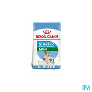 Royal Canin Dog Starter Mini Dry 4kg