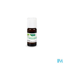 Afbeelding in Gallery-weergave laden, Phytosun Euc. Radiata Fr-bio-01 10ml
