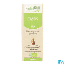 Charger l'image dans la galerie, Herbalgem Zwarte Bes Maceraat 15ml
