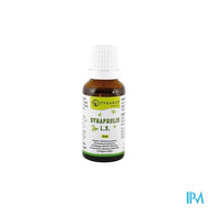 Dynaprolis l.s. Sol 15ml Dynar