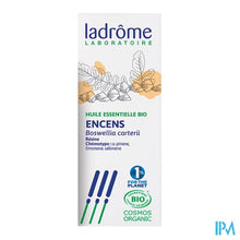 Afbeelding in Gallery-weergave laden, Ladrome Boswelia Carterii/wierook 5ml
