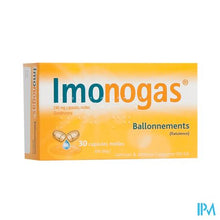 Charger l'image dans la galerie, Imonogas 240mg Caps 30 X 240mg
