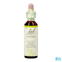 Charger l'image dans la galerie, Bach Flower Remedie 21 Mustard 20ml
