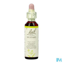 Afbeelding in Gallery-weergave laden, Bach Flower Remedie 21 Mustard 20ml

