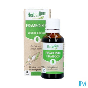 Herbalgem Frambozenstruik Bio 30ml