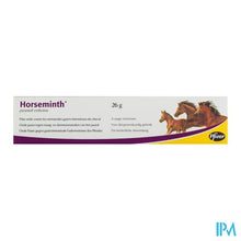 Afbeelding in Gallery-weergave laden, Horseminth Pasta Spuit 1x26g
