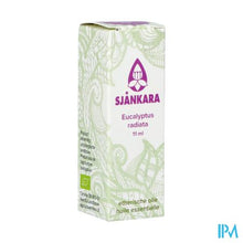 Afbeelding in Gallery-weergave laden, Sjankara Eucalyptus Radiata Ess. Olie Bio 11ml
