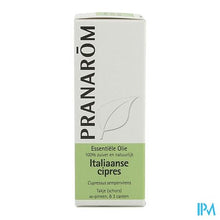 Load image into Gallery viewer, Pranarom Eo Italiaanse Cipres 10ml
