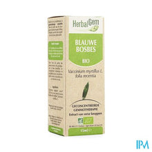 Afbeelding in Gallery-weergave laden, Herbalgem Blauwe Bosbes Maceraat 15ml
