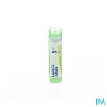Afbeelding in Gallery-weergave laden, Lobelia Inflata 5ch Gr 4g Boiron
