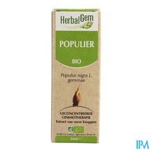 Charger l'image dans la galerie, Herbalgem Populier Maceraat 50ml
