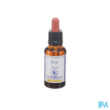 Afbeelding in Gallery-weergave laden, Healing Herbs Elm 30ml
