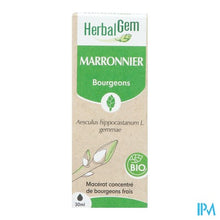 Charger l'image dans la galerie, Herbalgem Wilde Kastanje Bio 30ml
