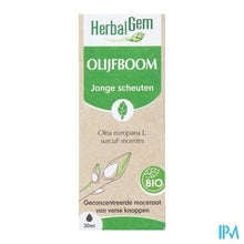 Afbeelding in Gallery-weergave laden, Herbalgem Olijfboom Bio 30ml

