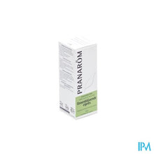 Load image into Gallery viewer, Cipres Altijd Groen Ess Olie 10ml Pranarom
