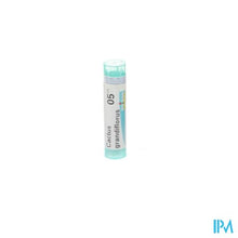 Afbeelding in Gallery-weergave laden, Cactus Grandiflorus 5ch Gr 4g Boiron
