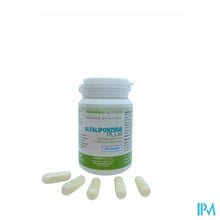 Afbeelding in Gallery-weergave laden, Alfa Liponzuur Plus V-caps 60 Pharmanutrics
