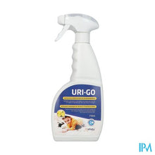 Load image into Gallery viewer, Pharmex Uri-go Mens Spray 750ml

