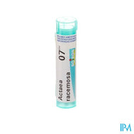 Actaea Racemosa 7ch Gr 4g Boiron