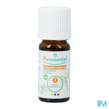 Afbeelding in Gallery-weergave laden, Puressentiel Eo Rozemar.kamf.bio Exp. 10ml
