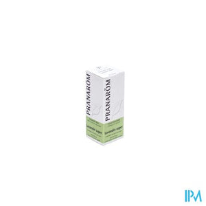 Lavandin Super Ess Öl 10ml Pranarom